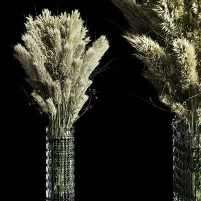 Dry Plants pampas Bouquet Indoor glass vase — descargar