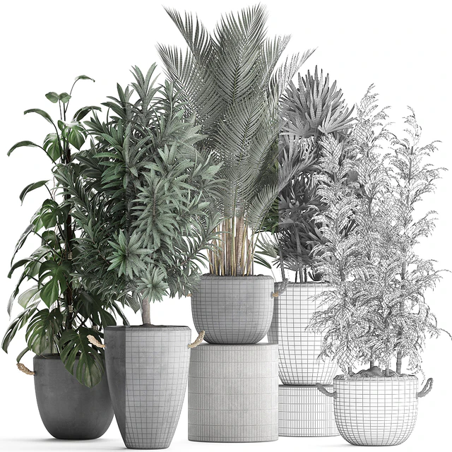 Plant Collection 413. palm, bamboo, rapis, monstera, concrete pot, flowerpot, indoor plants, Raphis Palm — Descargar