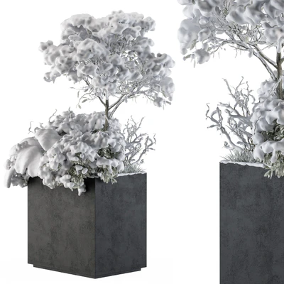 Outdoor Plants tree in Concrete Pot  Snow - Set 108 — скачать