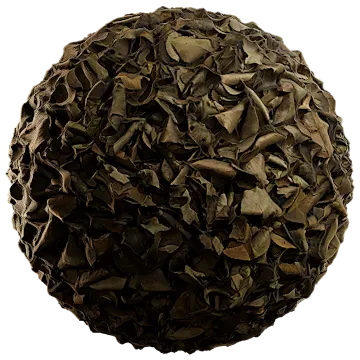 dried leaves 029 — Descargar