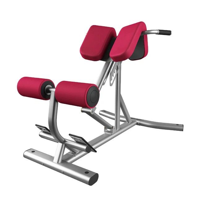 Lifefitness Signature Series Back Extension — Download