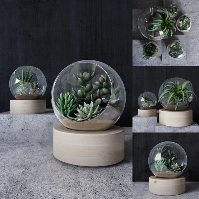 Florarium — Descargar