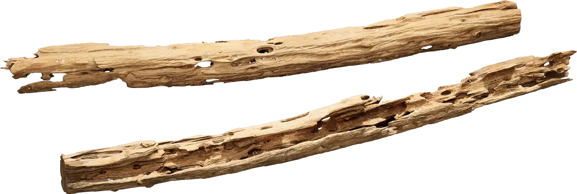 pecky cypress drift wood 001 — Descargar