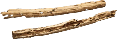 pecky cypress drift wood 001 — Descargar
