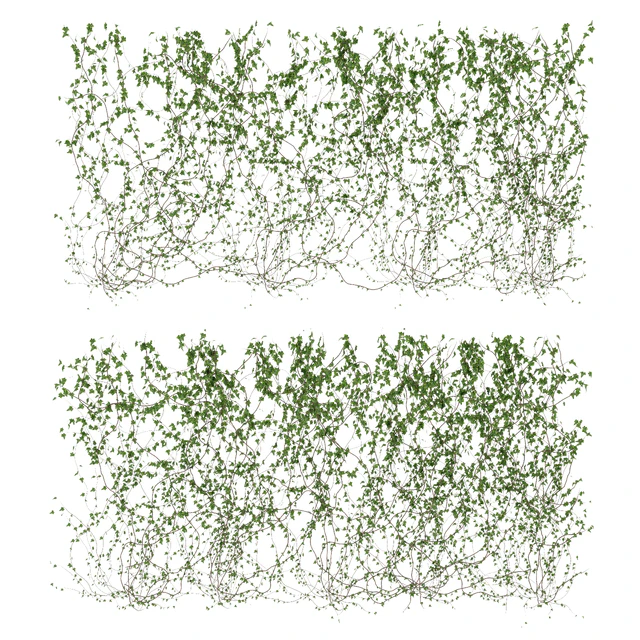 Wall of ivy leaves v3 — Descargar