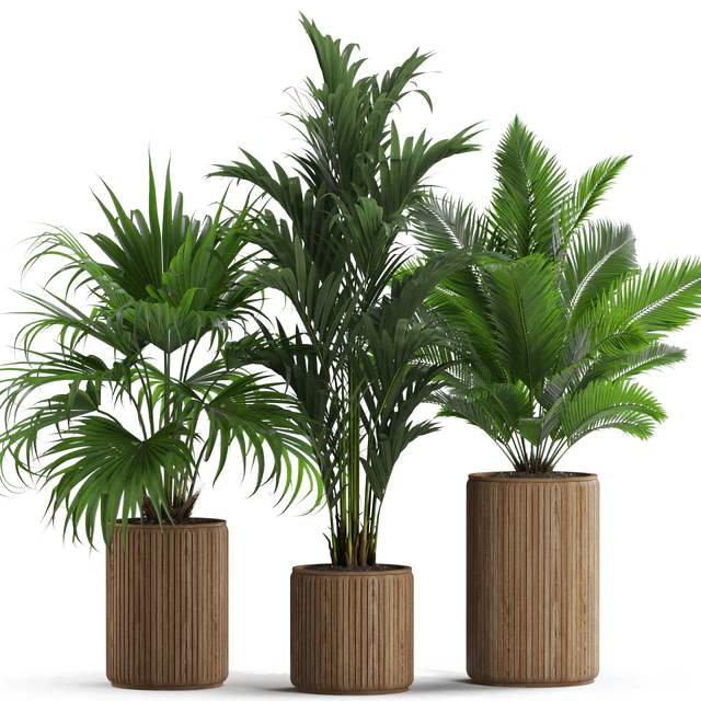 Plants collection 539 — Скачать