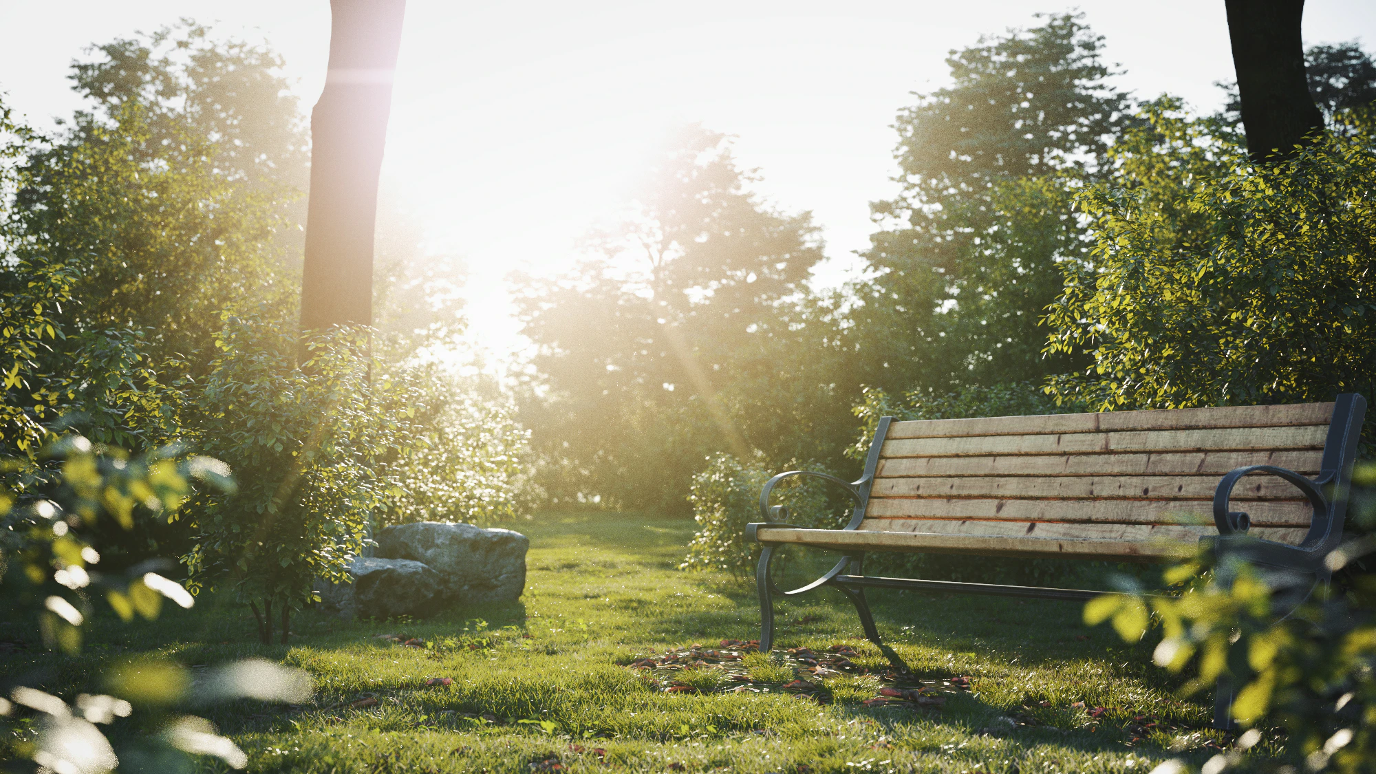 bushes hedges — Скачать