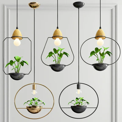 Ampelous Plant Pendant Collection — Вид 1
