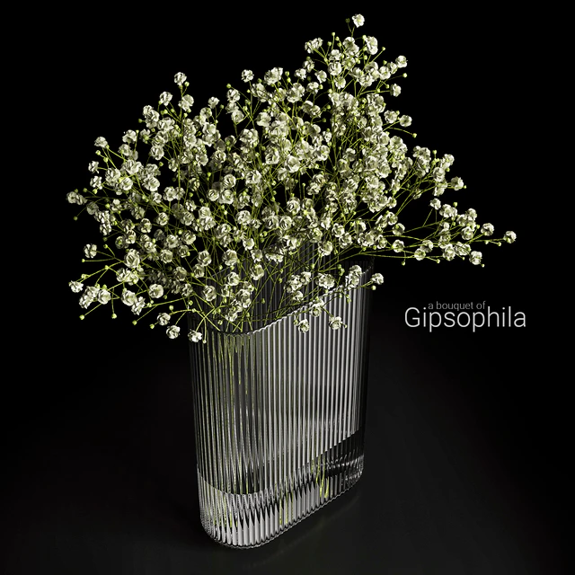 A bouquet of gypsophila — Скачать
