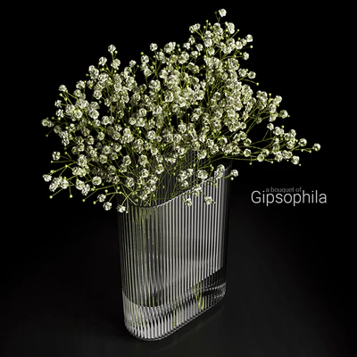 A bouquet of gypsophila — Вид 3