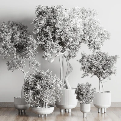 Collection Indoor Outdoor plant 118 vase concrete pot tree corona — Вид 3