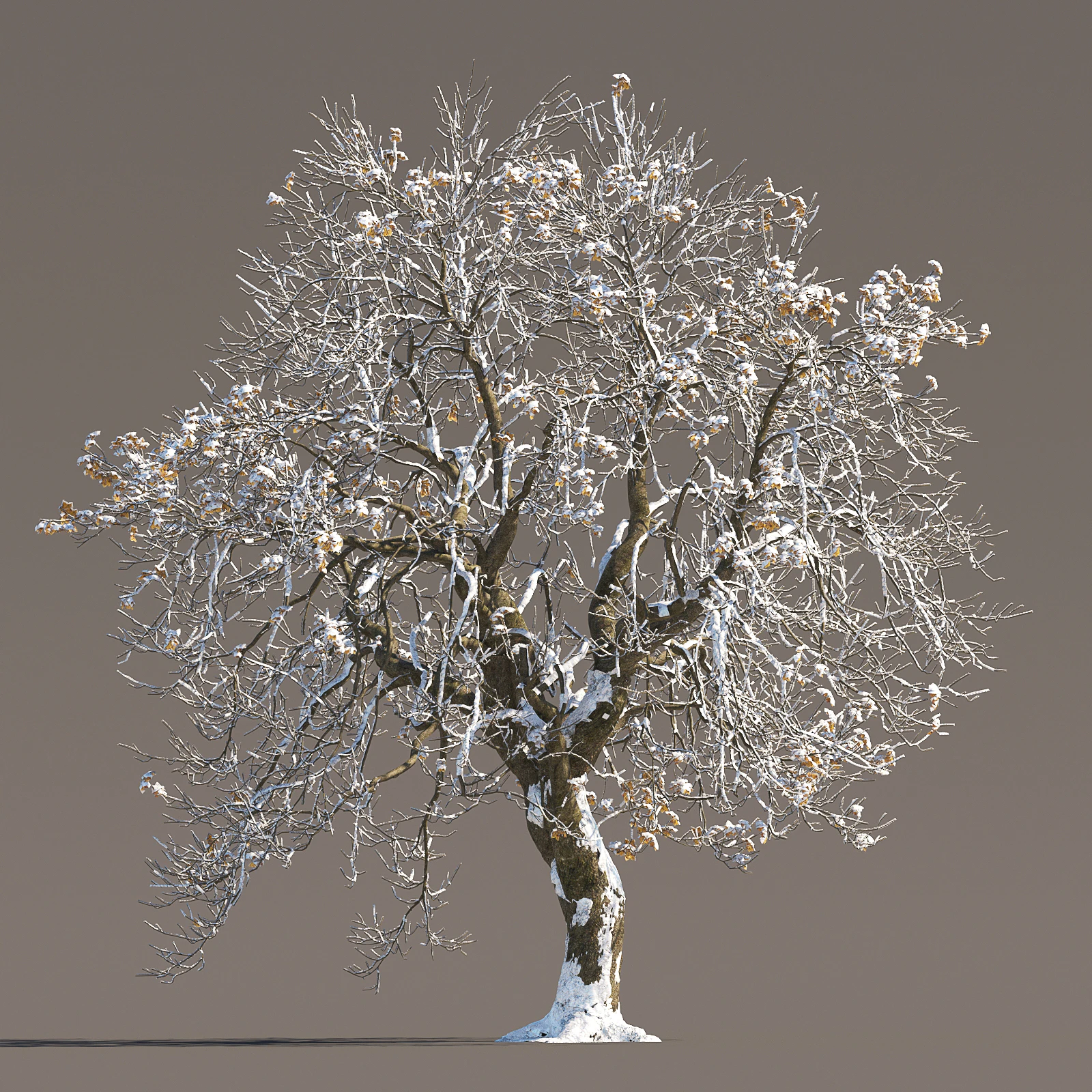 054 winter — Descargar