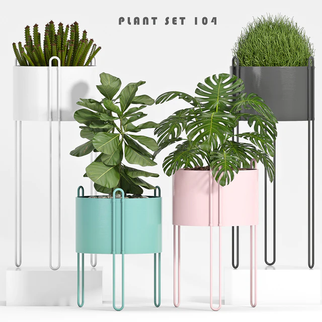 PLANT SET -104 — Descargar