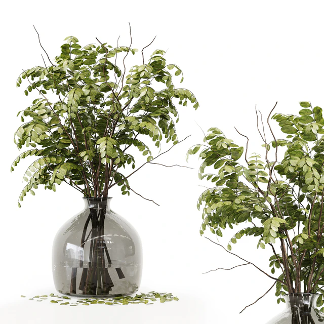 Collection Indoor Plants 020 — Descargar