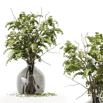 Collection Indoor Plants 020 — Ver 3