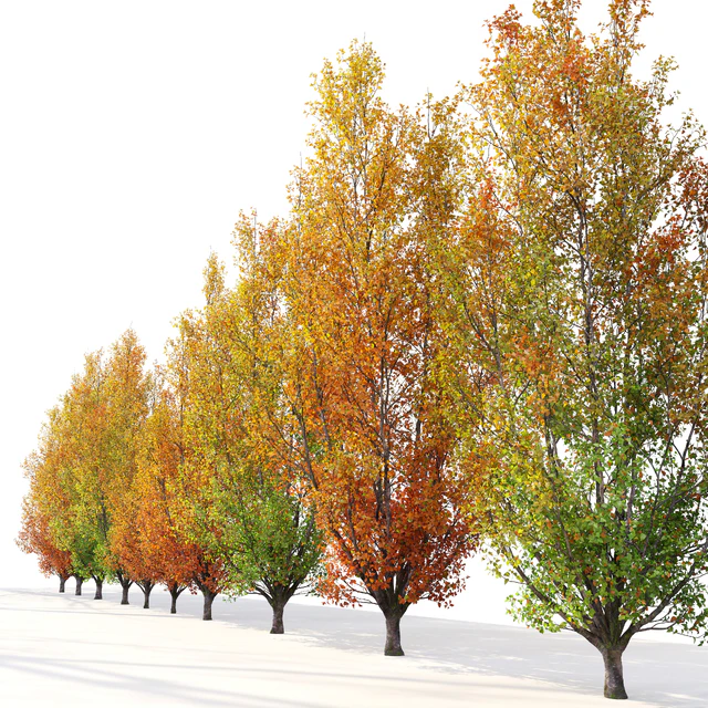 Autumn pear tree 02 — Descargar