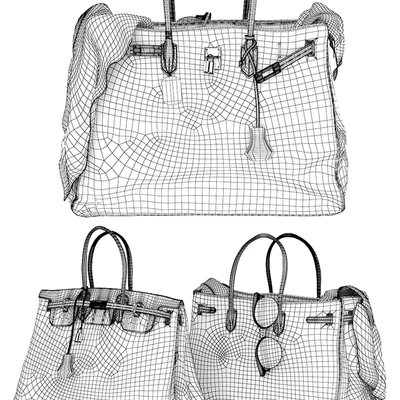 Hermes Birkin Handbags — Ver 3