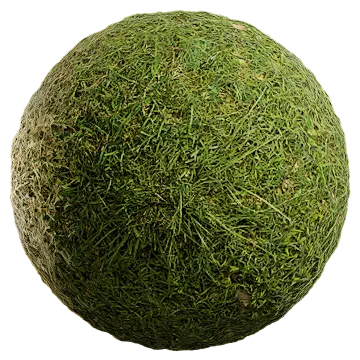wild grass 078 — Скачать