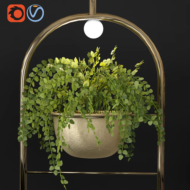 Metal hanging lamp Indoor Plant partition — Descargar