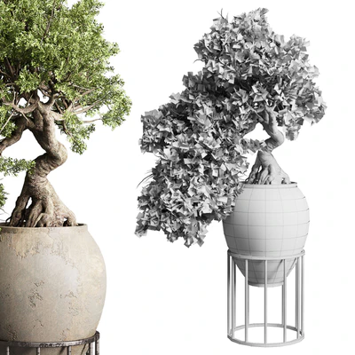 Bonsai tree in an old earthenware vase indoor plant 343 — Ver 2