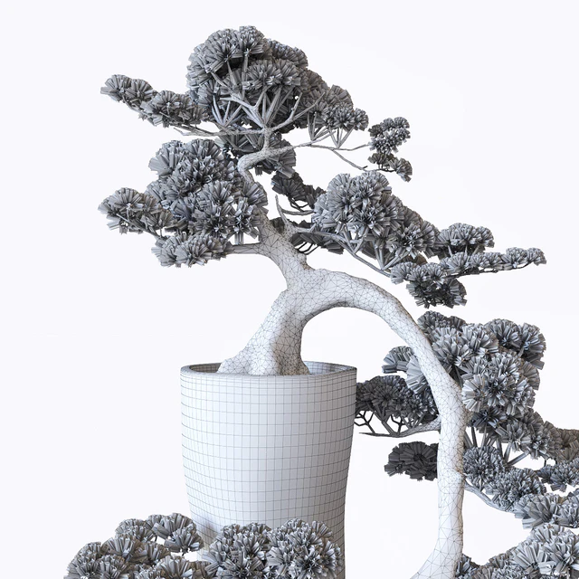 Bonsai — Descargar
