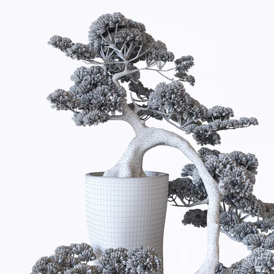 Bonsai — Ver 2