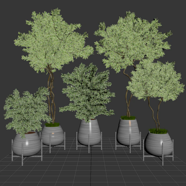 indoor plant set 01 — Скачать
