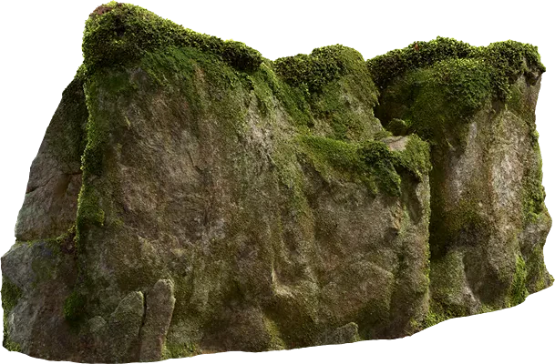 mossy rock face 002 — Descargar