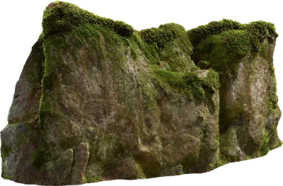 mossy rock face 002 — Descargar