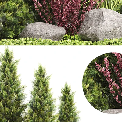 Set Plants 223 - Outdoor Garden — Вид 3