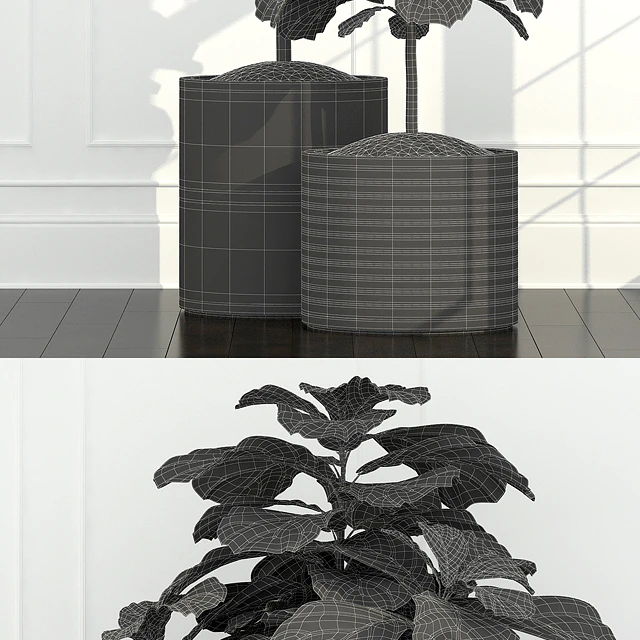 Plants collection 63 — Скачать