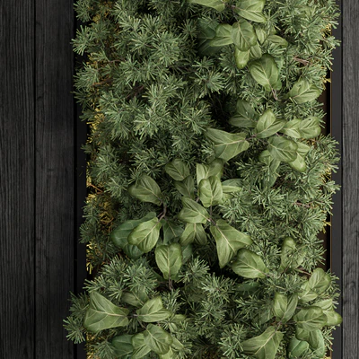 Vertical Garden Black Frame - Wall Decor 38 — Ver 2