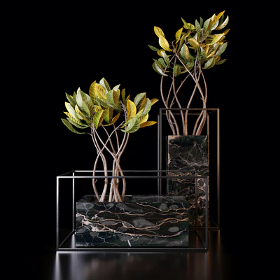 Croton trees — Ver 1