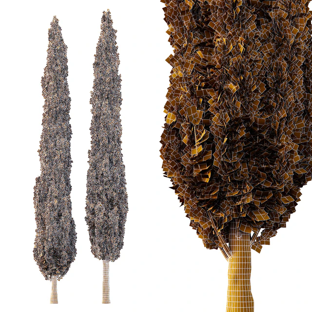 Italian Cypress Tree06 — Descargar