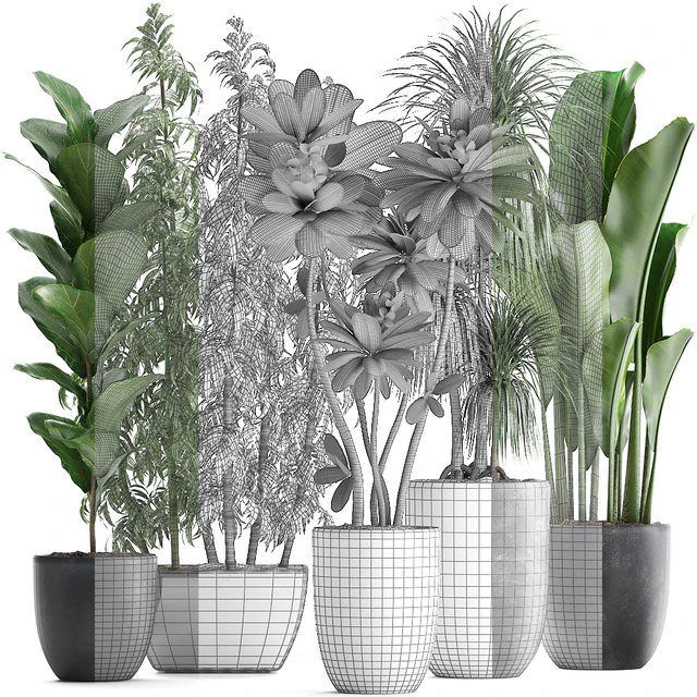 Plant collection 311. Bamboo, Ficus, Dracaena, Banana, Indoor Plants, Plumeria, Black Pot, Bushes, Exotic Plants, Set — Descargar