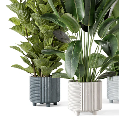 Indoor Planters in Cecilia Ficonstone Pot - Set 409 — Вид 3