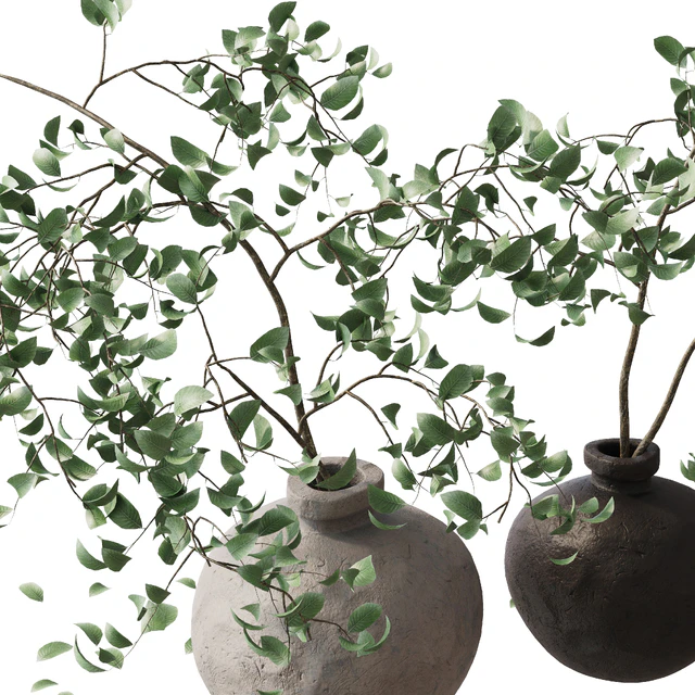 branches in a vase — Descargar