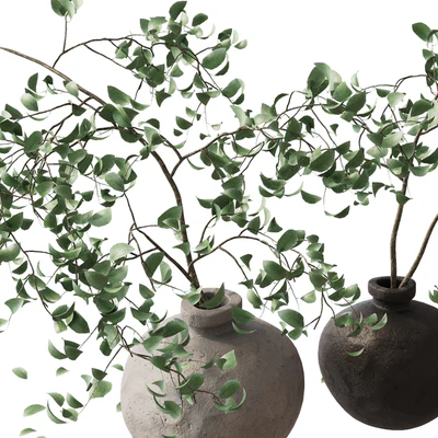 branches in a vase — Ver 2