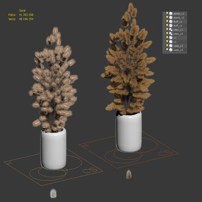 Bouquet of dried flowers. 2 models — Ver 3