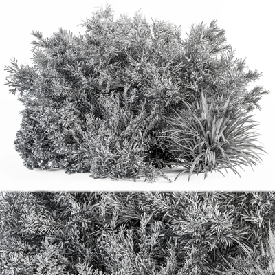 Mixed Plant Bush Green and Red - Bush Set 51 — Вид 2