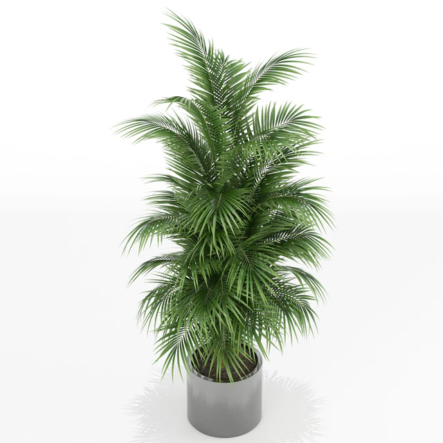 Plants collection 176 — Descargar