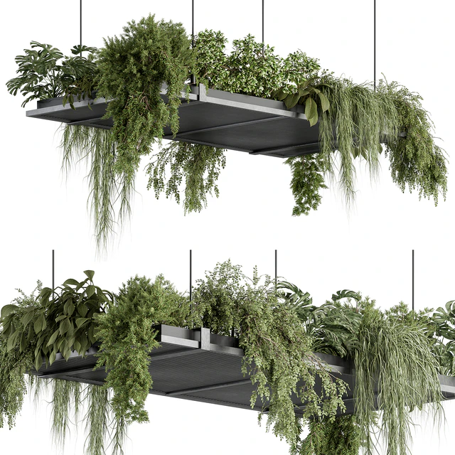 indoor Plant 443 - Hanging Plants — Descargar