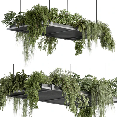 indoor Plant 443 - Hanging Plants — Ver 1