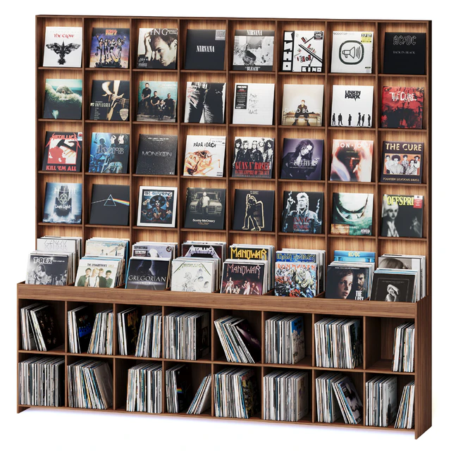 Rack with vinyl records for home or store — Descargar