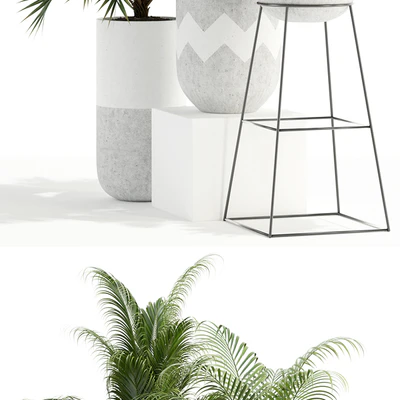Plants collection 110 — Ver 3