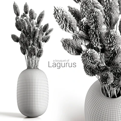 A bouquet of lagurus — Вид 3