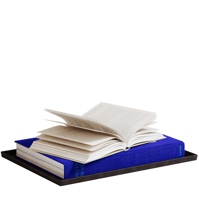 Decorative set with blue book — Скачать