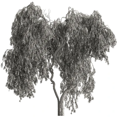 Babylon Willow Tree Set 377 — View 2