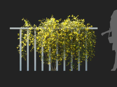 gelsemium sempervirens 006 — Скачать