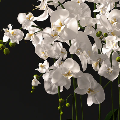 Orchid arrangement — Вид 2